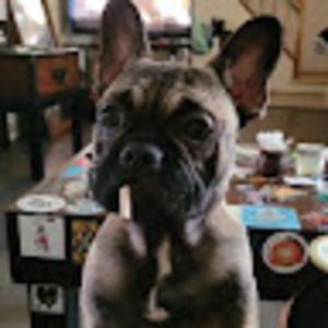 Meet your Posher, Christopher